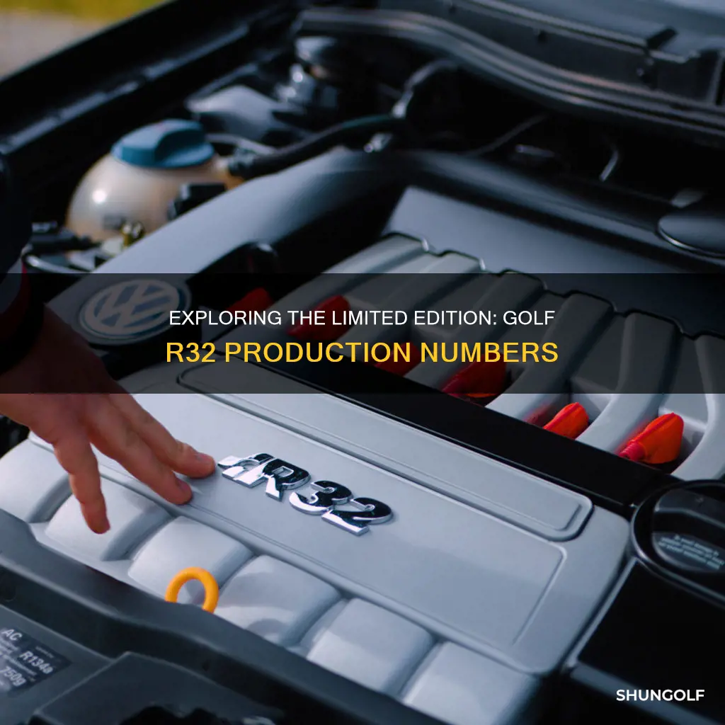 how many golf r32 were made