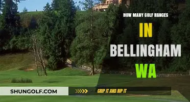 Exploring Bellingham, WA: A Guide to Local Golf Ranges