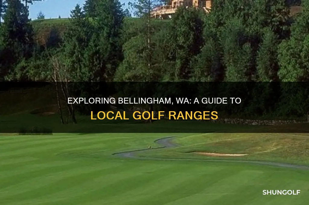 how many golf ranges in bellingham wa