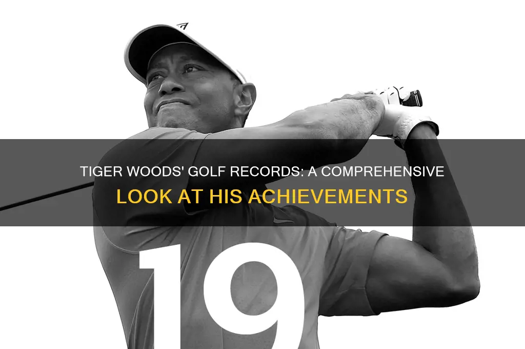 how many golf records does tiger woods have