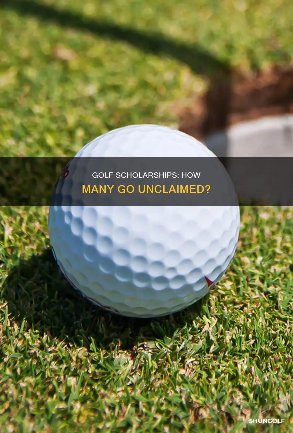 how many golf scholarships go unused