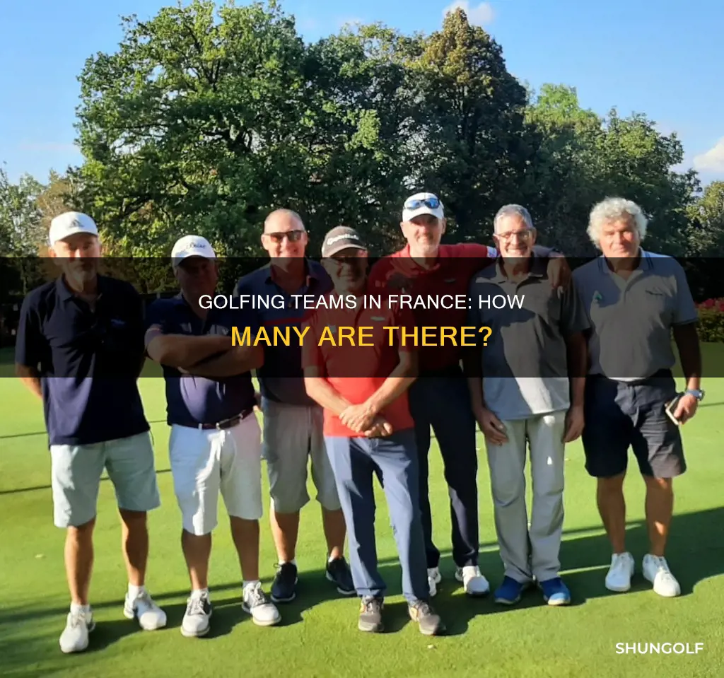 how many golf teamsn in france