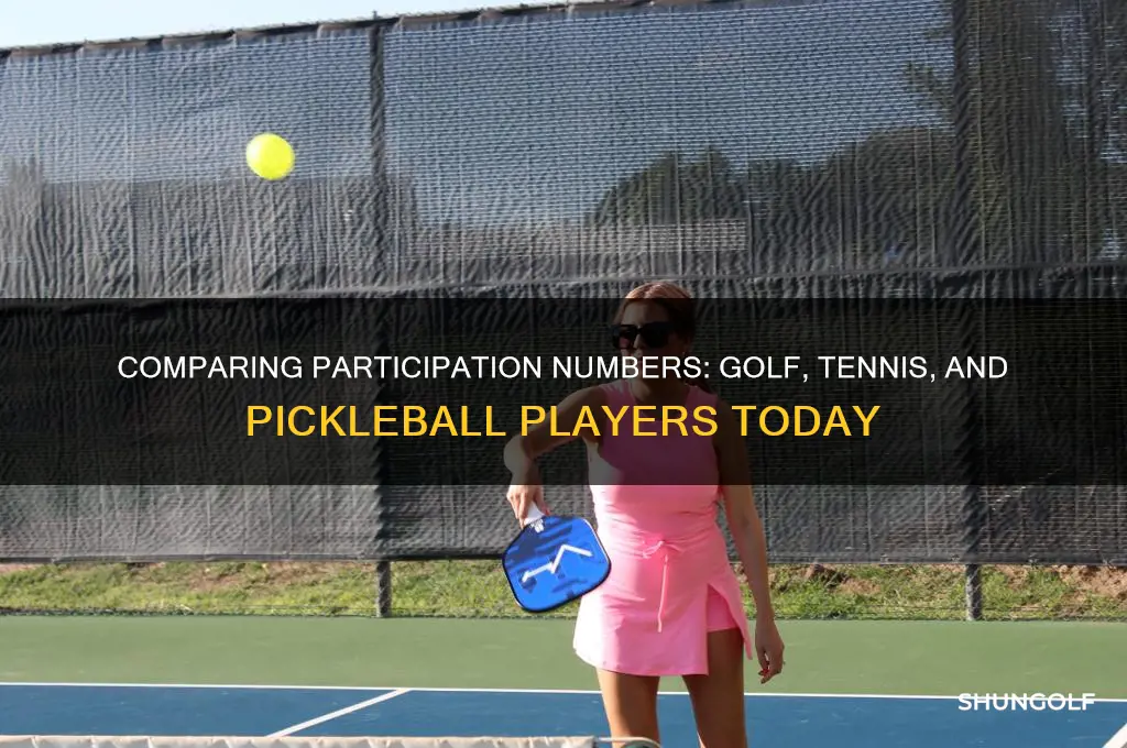 how many golf tennis and pickleball players