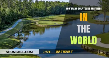 Exploring the Global Golf Scene: How Many Tours Exist Worldwide?
