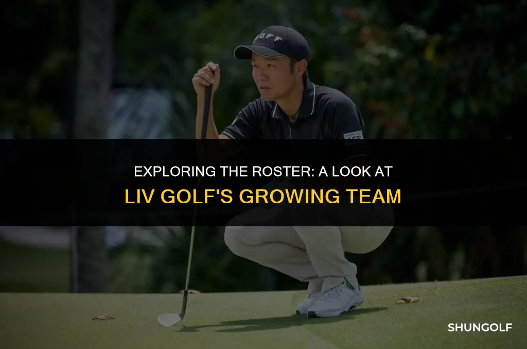 how many golfers are in liv golf