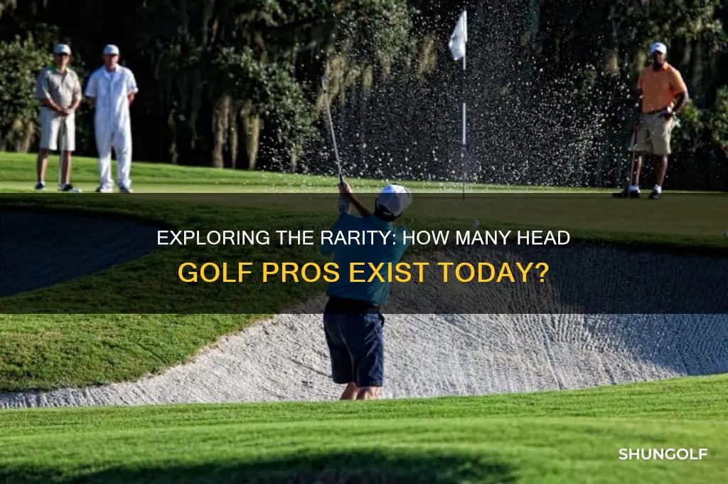 how many head golf pros are there