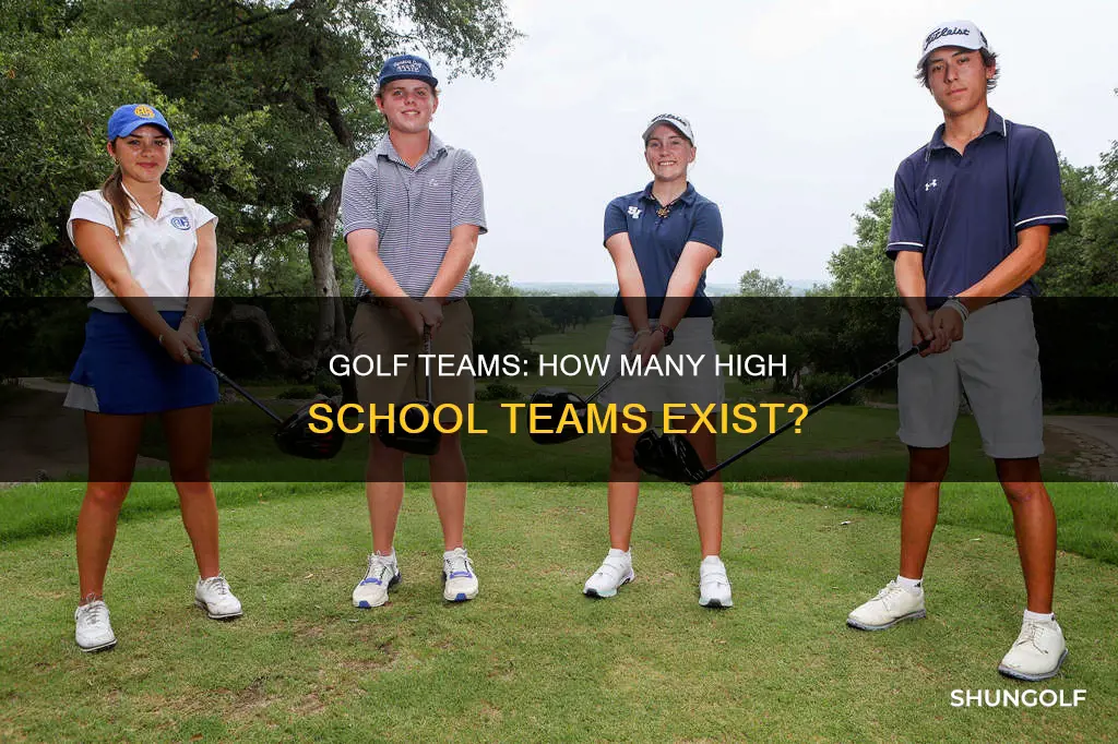 how many high school golf team