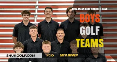 Exploring the Prevalence of Boys Golf Teams in High Schools Nationwide