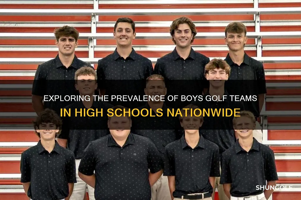 how many high schools have boys golf teams