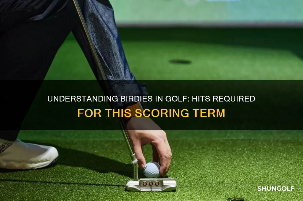 how many hits is a birdie in golf