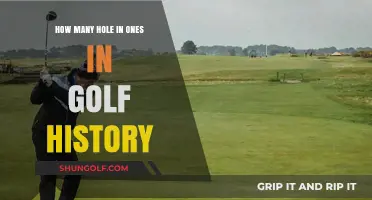 Unbelievable Aces: Tracking Hole-in-One Records in Golf History
