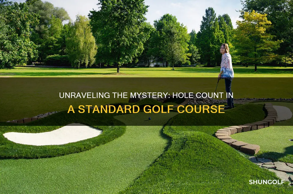 how many holes are there in a golf link