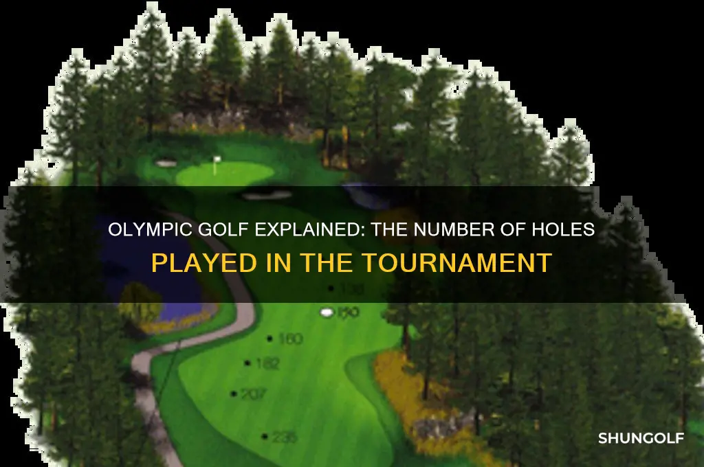 how many holes do they play in olympic golf