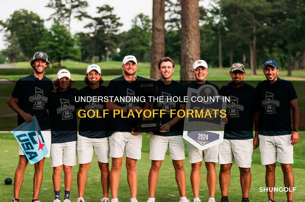 how many holes in a golf playoff