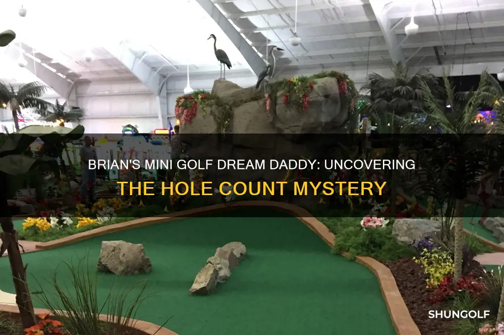 how many holes in brian mini golf dream daddy