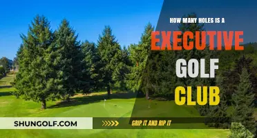 Understanding the Hole Count in an Executive Golf Course Layout
