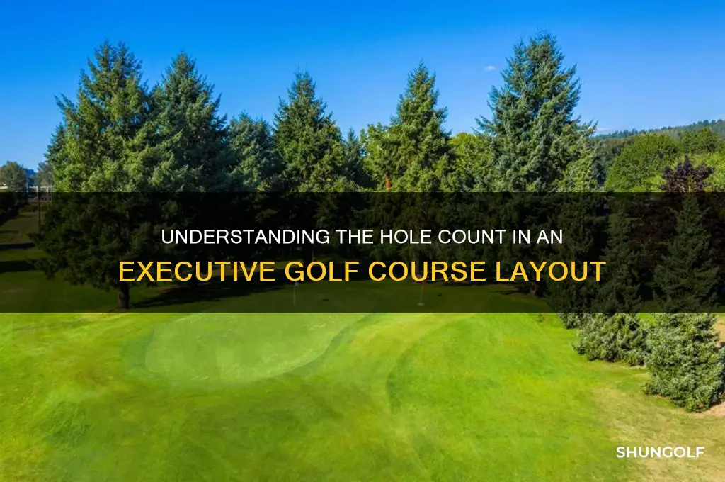 how many holes is a executive golf club