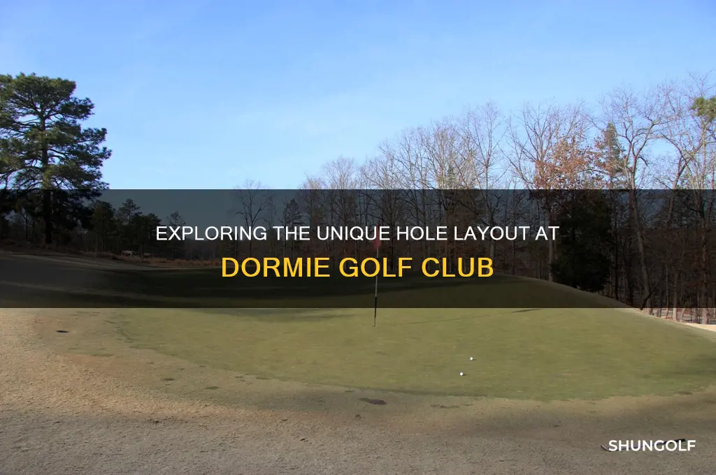 how many holes on the dormie golf club