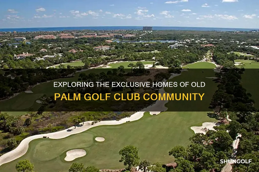 how many homes in old palm golf club