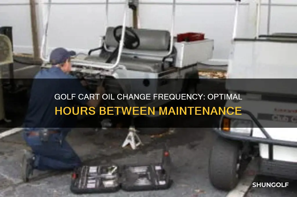 how many hours between oil changes on golf carts