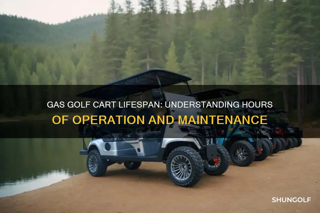 how many hours does a gas golf cart last