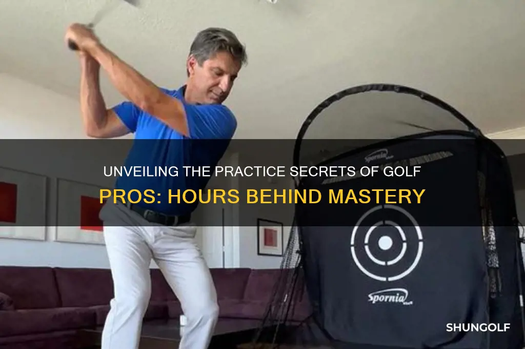 how many hours does a golf pro practice