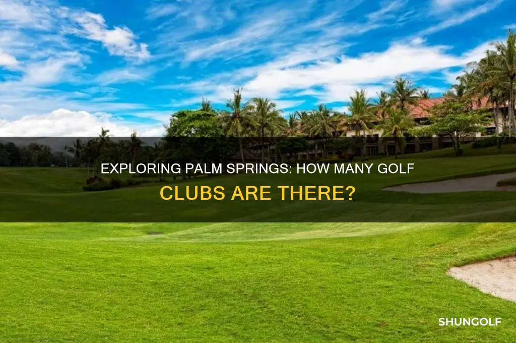 how many how many golf club in palm springs