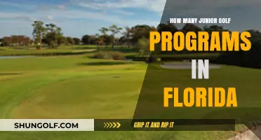 Exploring Florida's Junior Golf Programs: A Comprehensive Guide to Opportunities
