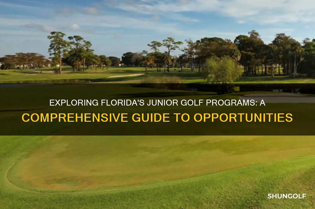how many junior golf programs in florida