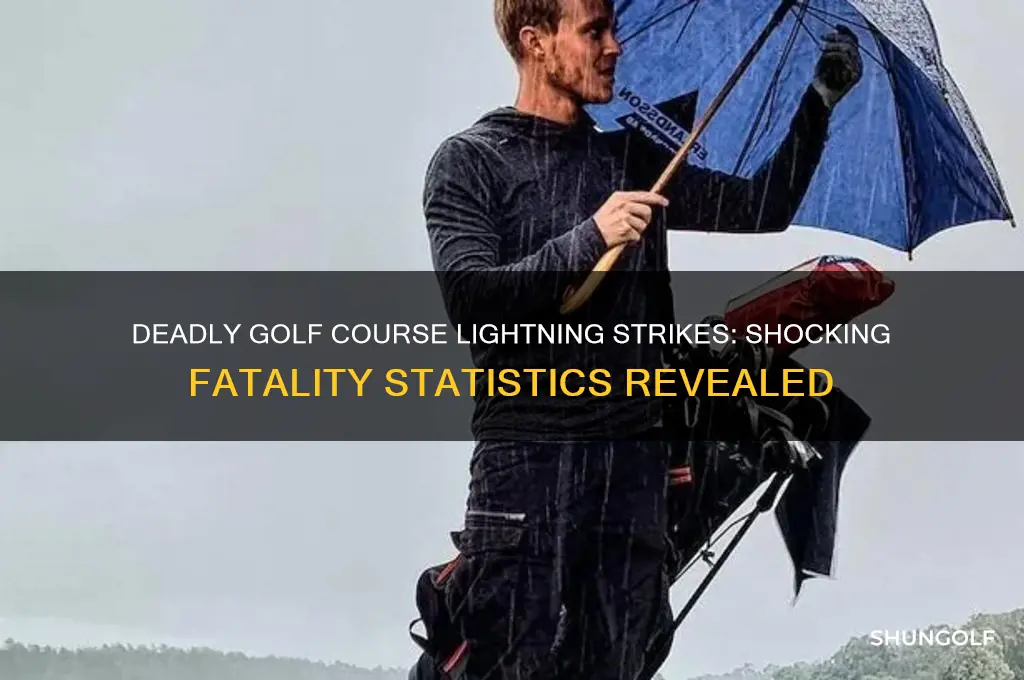 how many killled by lightning strike at golf