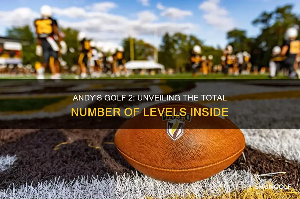 how many levels are in andy