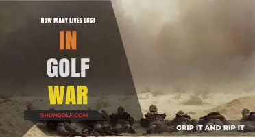 The Devastating Toll of the Gulf War: Lives Lost and Legacies Shattered