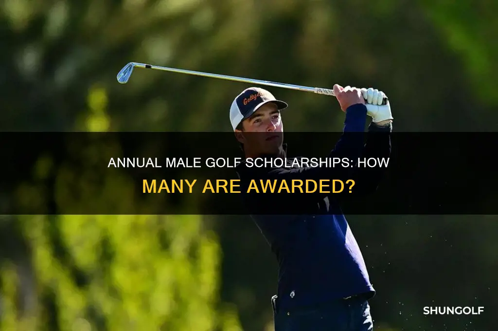how many male golf scholarships are given each year