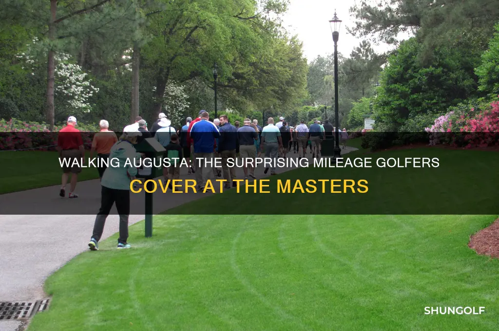 how many miles does a golfer walk at the masters