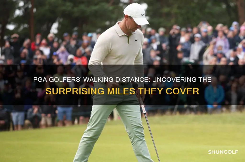 how many miles does a pga golfer walk