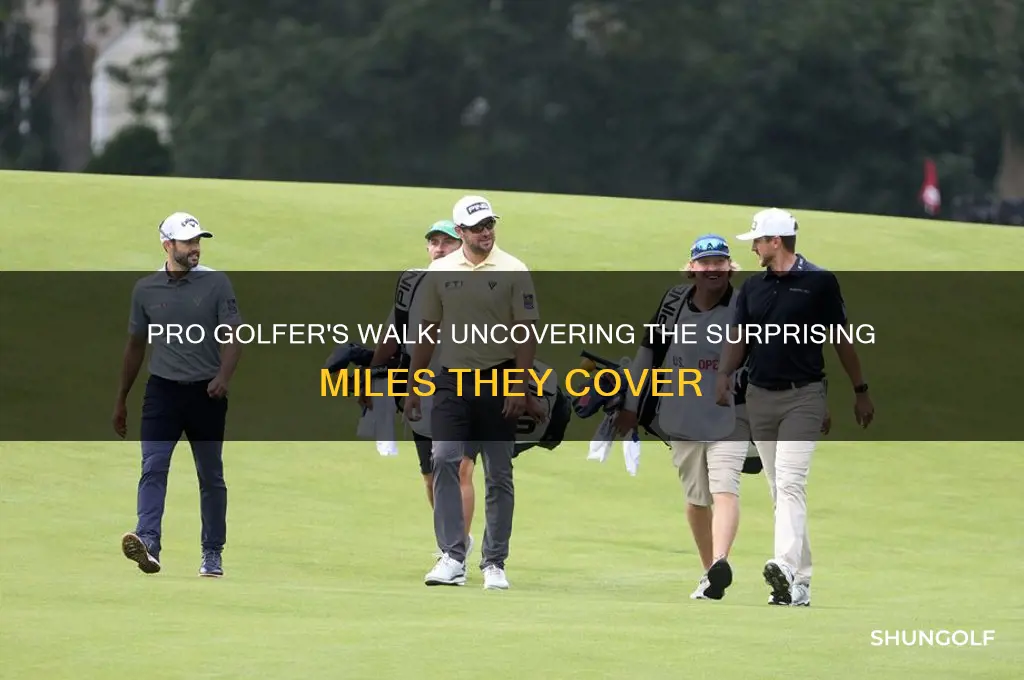 how many miles does a pro golfer walk