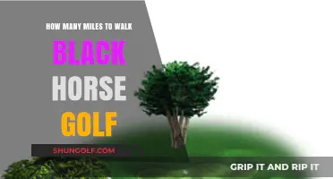 Walking to Black Horse Golf: Distance and Route Guide