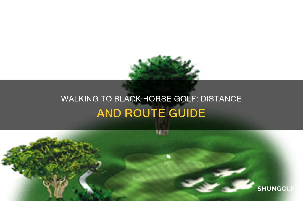 how many miles to walk black horse golf
