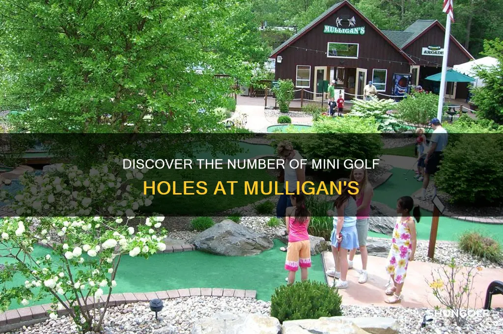 how many mini golf holes are at mulligans