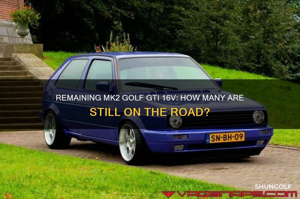 how many mk2 golf gti 16v left
