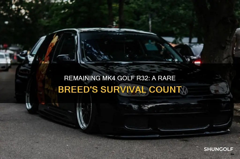 how many mk4 golf r32 are left