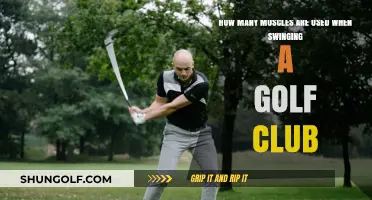 Muscles in Motion: Unveiling the Golf Swing's Physical Demands