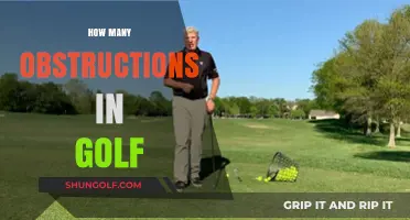 Golf Obstructions: What's in Your Way?