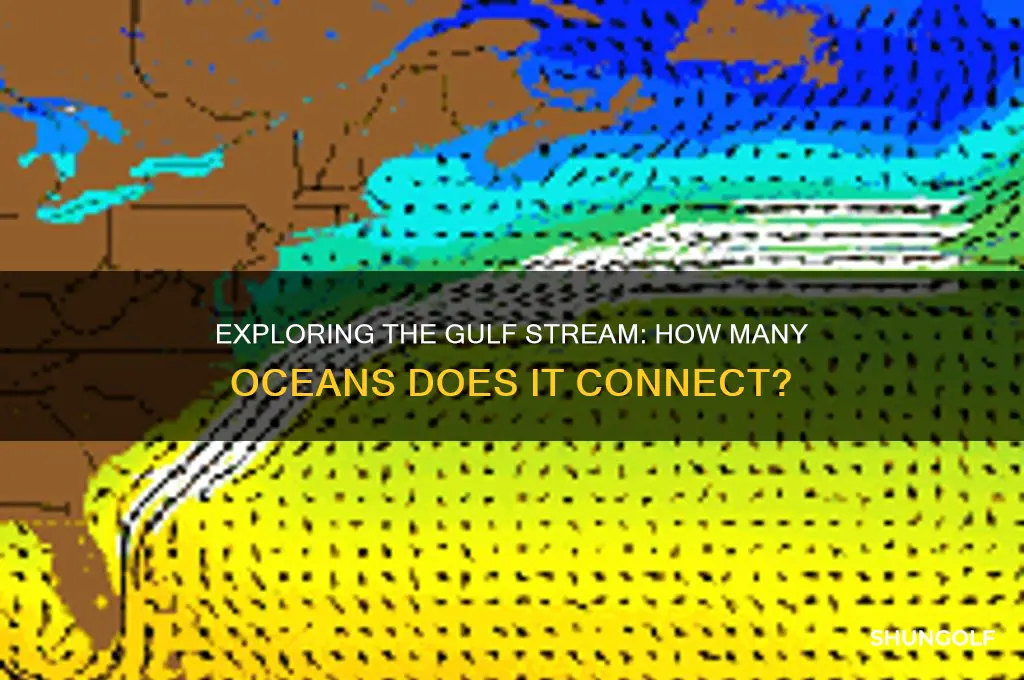 how many ocean do we have inb the golf strm
