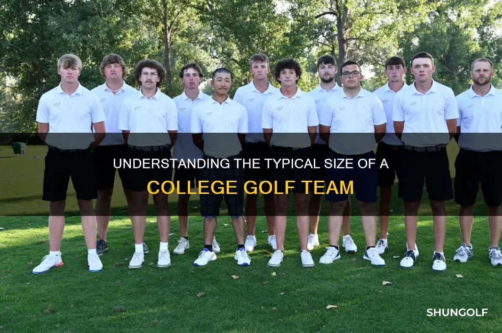 how many people are on a college golf team