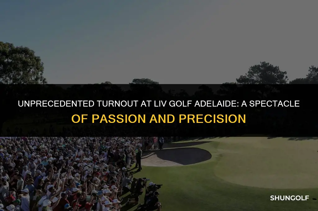 how many people attended liv golf adelaide