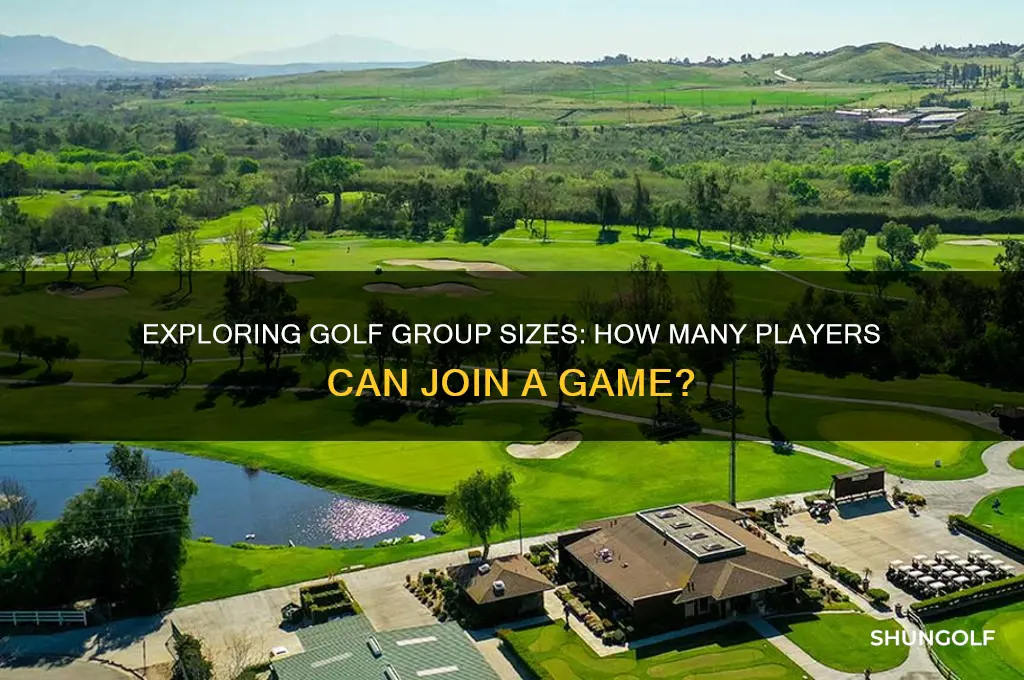 how many people can play in golf it