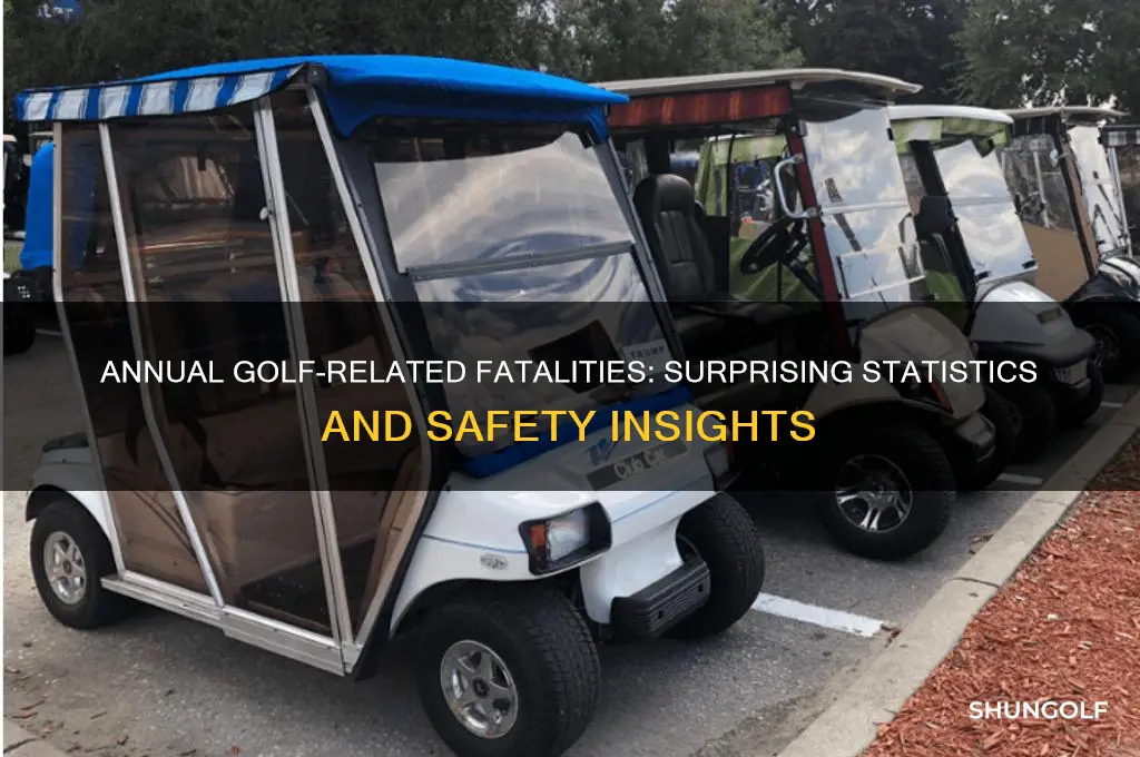 how many people die a year from golf