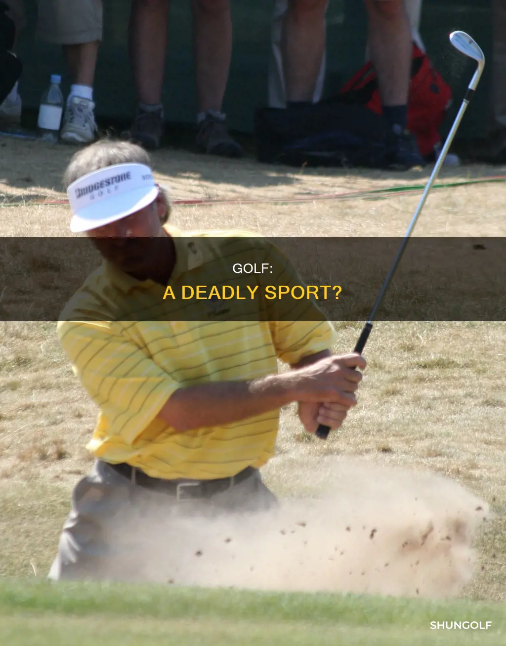 how many people die from golf