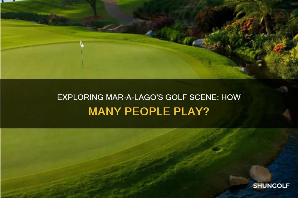 how many people golf at mar a lago